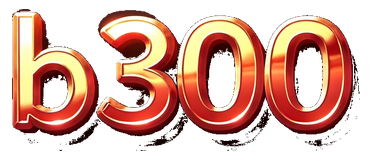b300 logo